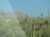 Auf dem Weg nach Phoenix. Jetzt weiss ich wieso Arizona einen Kaktus auf dem Nummernschild hat