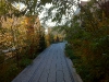 Die Erweiterung des High Line Parks