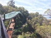 "Tree Top Walk" im Kings Park