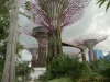 Gardens at the Bay, direkt vor dem Marina Bay Sands (2/2)
